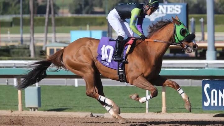 26th horse dies at California's famed Santa Anita racetrack