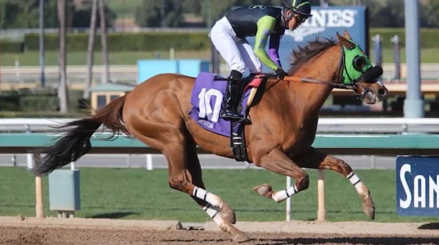 26th horse dies at California's famed Santa Anita racetrack