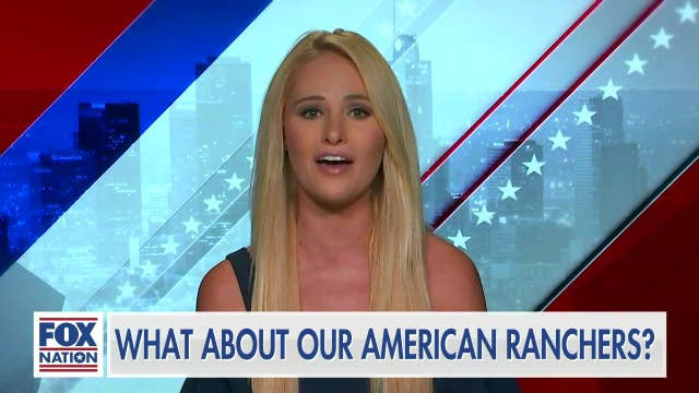 Tomi Lahren: What about our American Ranchers?| Latest News Videos ...