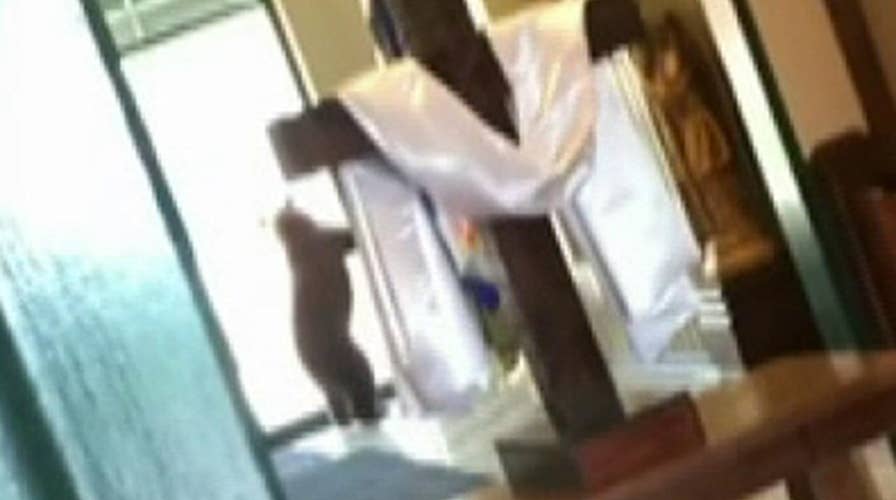 Raw video: Authorities work to remove a bear that had trapped itself in a middle school