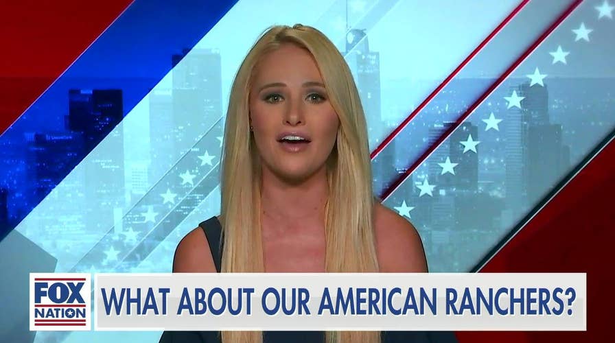 Tomi Lahren: What about our American Ranchers?