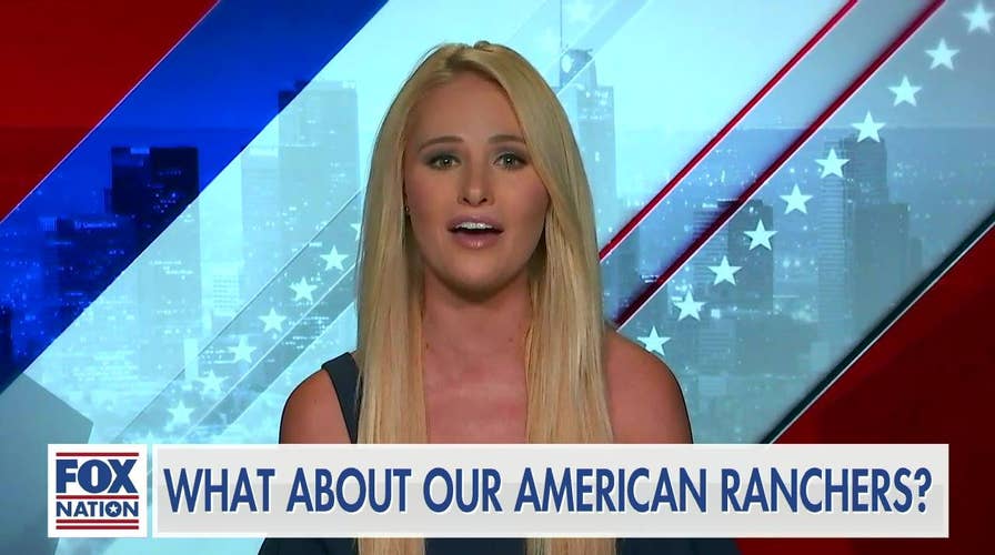 Tomi Lahren: What about our American ranchers?