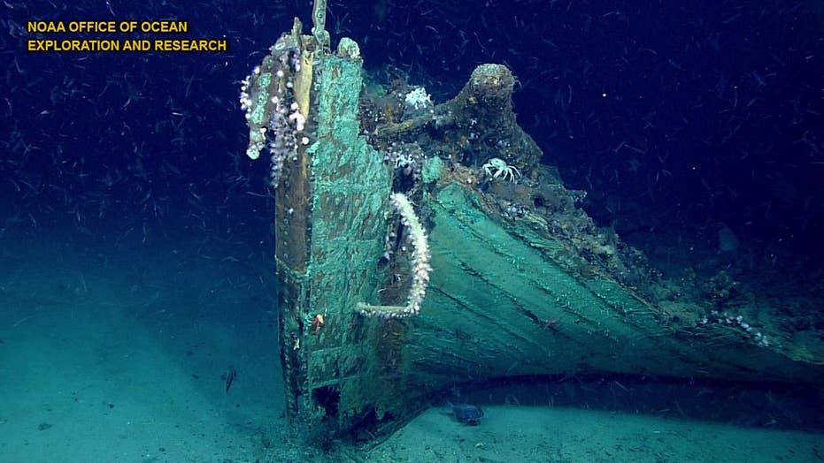 Mysterious 19thcentury shipwreck discovered by accident in the Gulf of
