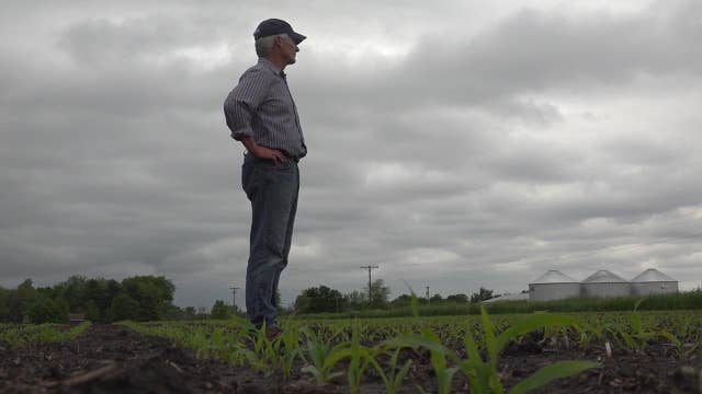 Another blow to farmers as Mississippi River flooding impacts production 