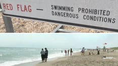 Girl loses 'one leg above the knee' in North Carolina shark attack, father punched fish 5 times: grandmother