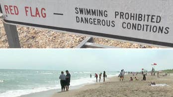 Girl loses 'one leg above the knee' in North Carolina shark attack, father punched fish 5 times: grandmother