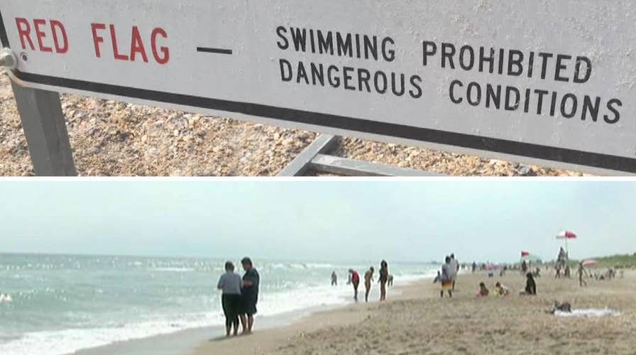 Dad punches shark 5 times to save daughter in North Carolina