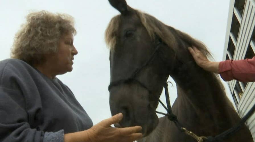 California pet psychic helps animals and owners connect