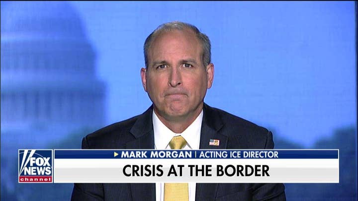 Acting ICE director slams Pete Buttigieg's 'misinformed' criticism: 'He is vilifying the wrong&nbsp;entity'