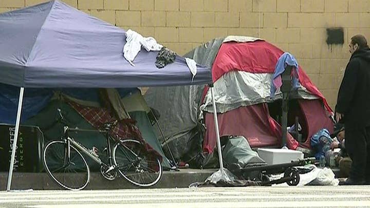 Los Angeles sees surge in homeless population