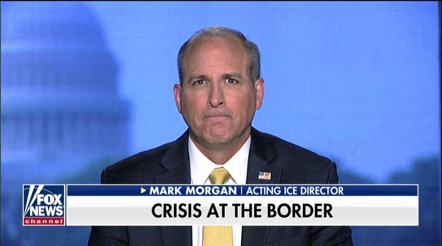 Acting ICE director slams Pete Buttigieg's 'misinformed' criticism: 'He is vilifying the wrong&nbsp;entity'