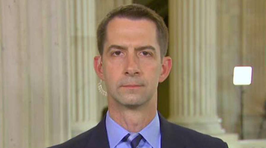 Sen. Cotton on sanctuary cities and the immigration crisis