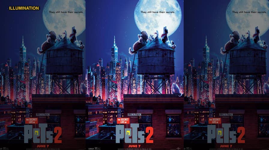 'Secret Life of Pets 2' cast opens up about their comedic beginnings