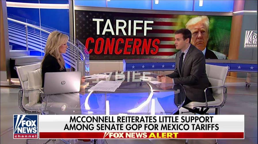 Leader McConnell: Dreamers Have a "Sympathetic Case"