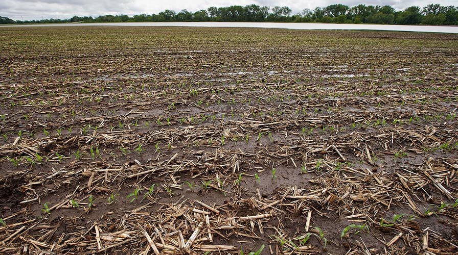 Rain, tariffs delay farmers across the Midwest