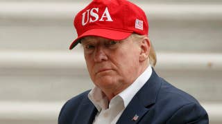 Mixed verdict on Trump tariff deal - Fox News
