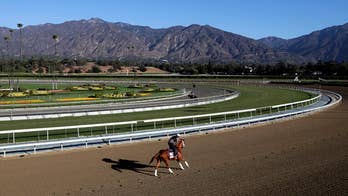 Two horses die within days at Santa Anita racetrack in California, park rejects request to close
