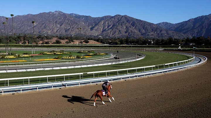 Two more horses die at Santa Anita racetrack, bringing total to 29 since December