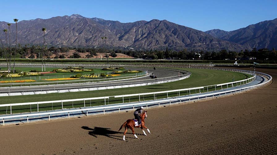 Two more horses die at Santa Anita racetrack, bringing total to 29 since December
