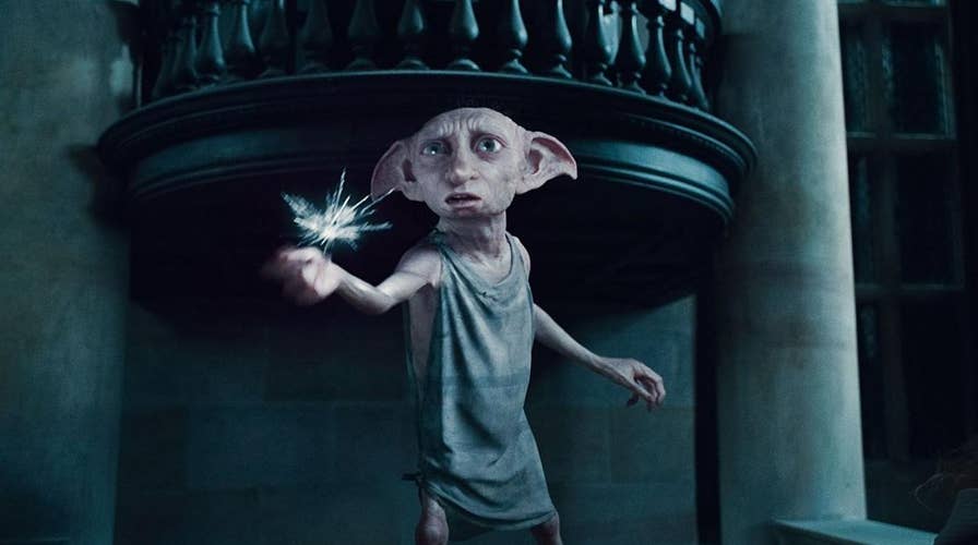 An online video shows an elf-like creature many are saying resembles the character Dobby