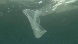EPA administrator says US will focus on plastic pollution in the oceans at G20 summit - Fox News