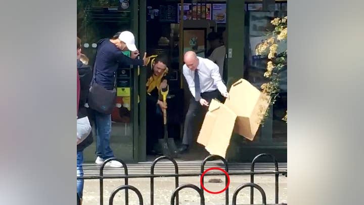 Rat gets tossed out front door after crawling into England McDonald’s