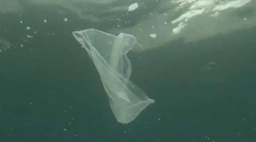 EPA administrator says US will focus on plastic pollution in the oceans at G20 summit