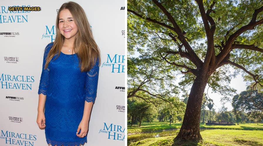 Girl claims she went to Heaven after tree fall, cured of chronic illness