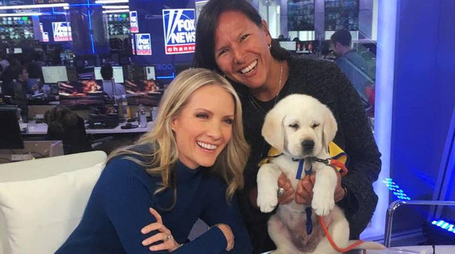 The Daily Spike: A look back at Spike's journey