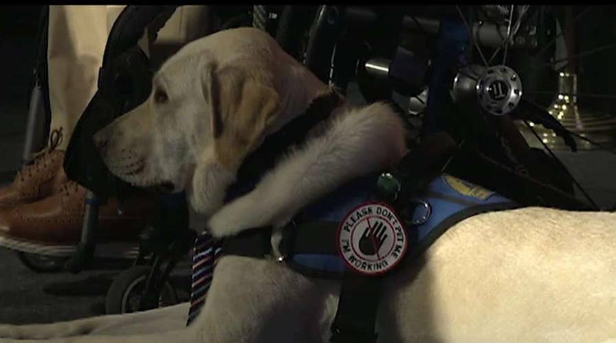 Canine Companions for Independence honors PenFed CEO and president James Schenck