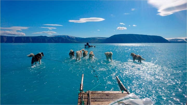 Stunning photo shows sled dogs 'walking on water' in Greenland