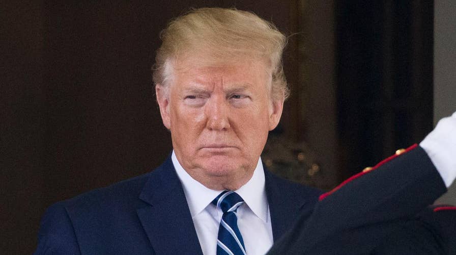 Trump delays ICE raids, gives Congress a chance to fix immigration loop holes