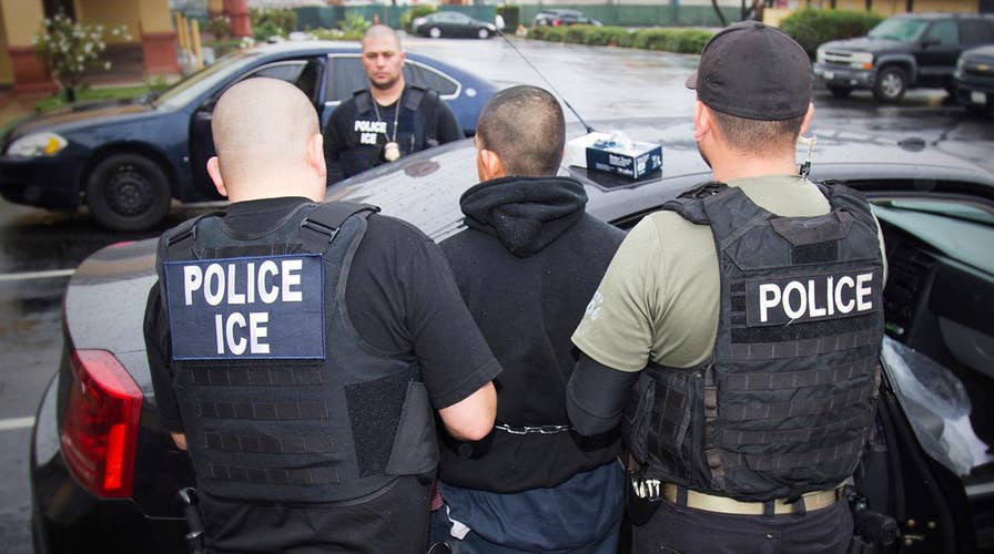 DHS secretary accused of opposing and leaking planned ICE raids