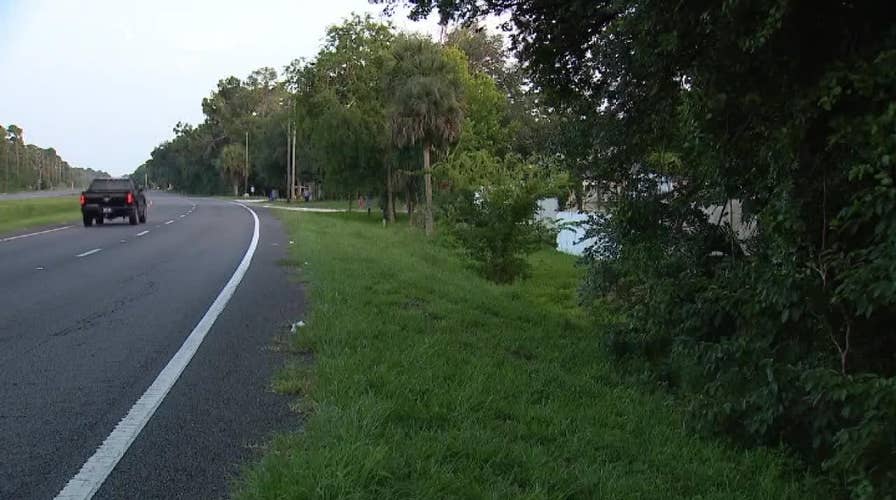 Toddler found wandering along busy highway in Florida