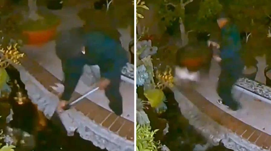 Man caught on camera stealing koi fish from a home in California
