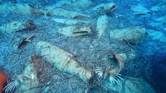 Cyprus research diving team discover Roman-era shipwreck