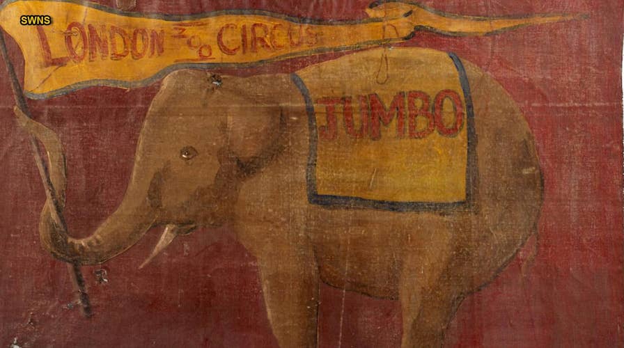 Rare poster depicting real-life 'Dumbo' could be worth major money