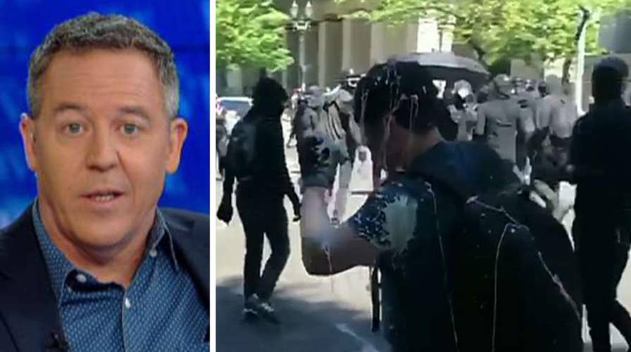 Gutfeld on Antifa attacking journalists