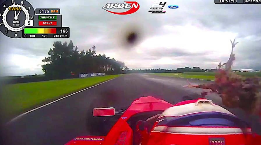 WATCH: Race car driver hit in the head by pheasant while traveling at 105 mph