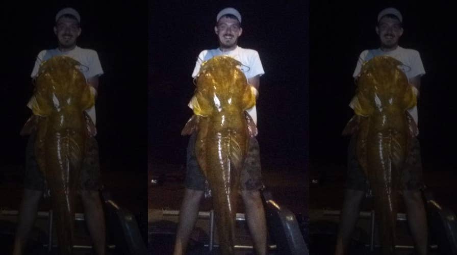 Florida fisherman catches record-breaking flathead: 'An amazing angling accomplishment'