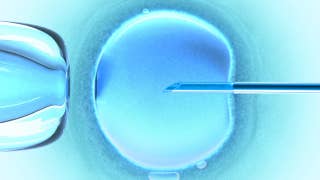 Woman sues after giving birth to wrong babies in shocking IVF mix-up - Fox News