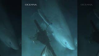 Mysterious deep-sea shark that's older than the dinosaurs captured on film - Fox News