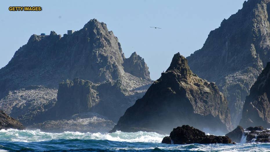 Us May Dump 1 5 Tons Of Rat Poison On Farallon Islands To