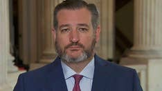 Ted Cruz: Citizenship question on census is 'basic common sense'