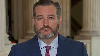 Ted Cruz: Citizenship question on census is 'basic common sense'