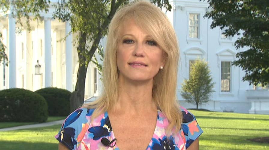 Kellyanne Conway questions why Democrats are 'afraid' to put citizenship question on US census