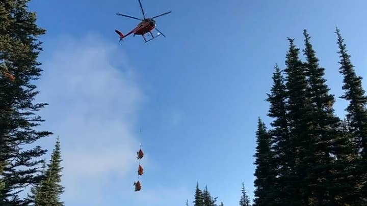 Washington wildlife officials airlift goats in ongoing relocation effort