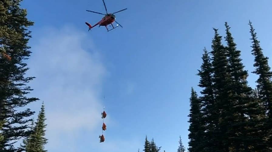 Washington wildlife officials airlift goats in ongoing relocation effort