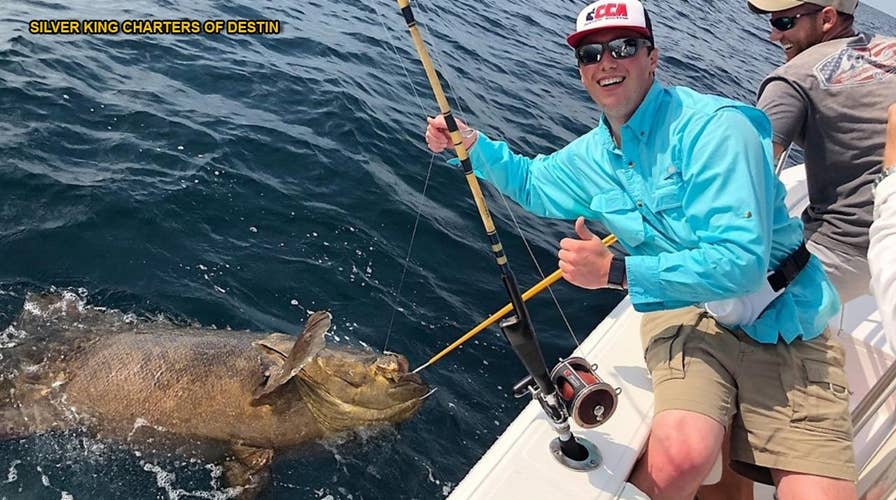 Fishermen catch goliath grouper weighing 350 pounds