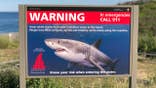 Spike in shark sightings off Cape Cod alarms swimmers, keeps them close to shore